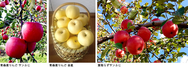 Sポイントで交換!樹齢百年以上の木から収穫したプレミアムなりんご、青森県産りんごサンふじ・金星詰め合わせなど数量限定、期間限定の景品が登場!