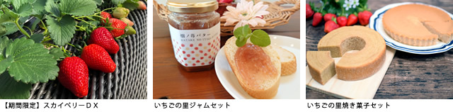 Sポイントで交換!期間限定プレミアムいちご「スカイベリー」、いちごのジャム・焼き菓子がポイント交換景品に登場!