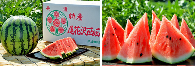 《WEB申込限定》セレクションコースおすすめ景品【山形県産 尾花沢すいか】(受付期間:2022年6月28日〜7月18日)
