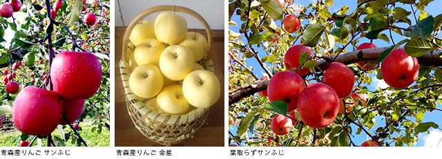 Sポイントで交換!樹齢百年以上の木から収穫したプレミアムなりんご、青森県産りんごサンふじ・金星詰め合わせなど数量限定、期間限定の景品が登場!