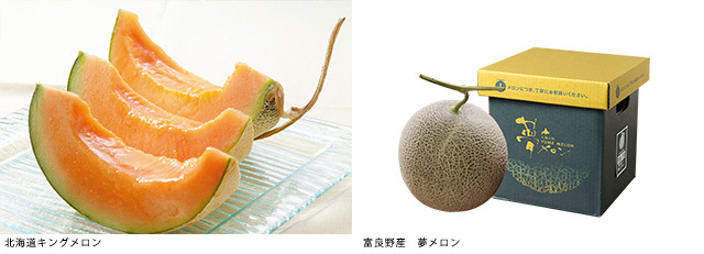 《WEB申込限定》セレクションコースおすすめ景品【北海道メロン】(受付期間:2023年5月23日〜7月17日)