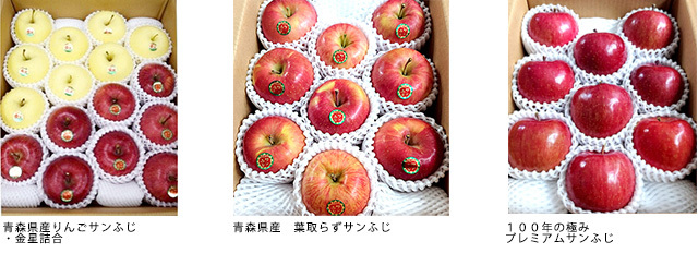 ≪期間限定・数量限定≫セレクションコースおすすめ景品【樹齢百年以上の木から収穫したプレミアムなりんごや青森県産りんごサンふじ・金星など】