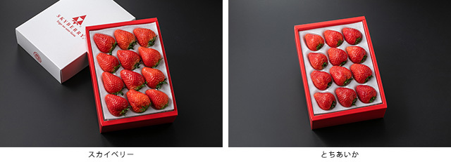 ≪期間限定≫セレクションコースおすすめ景品「とちあいか」「スカイベリー」