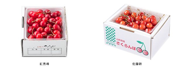 《期間限定》セレクションコースおすすめ景品【山形県産さくらんぼ　佐藤錦・紅秀峰】（受付期間：2026年4月28日〜5月26日）